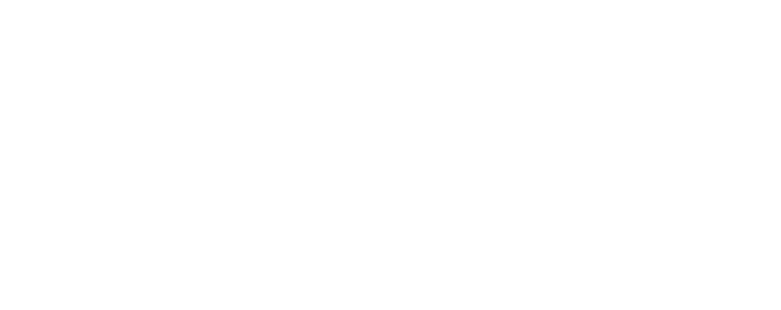 LOGO footer blanco